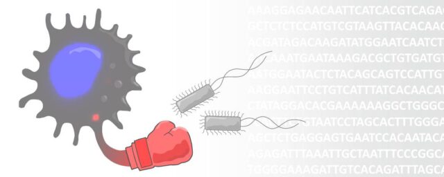 New paper published in PNAS