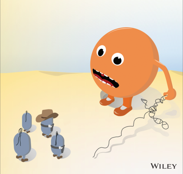 On the cover – our WIRES_RNA Review on lncRNAs in bacterial infection